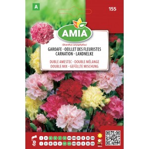 Seminte de flori garoafe duble amestec culori Amia 0,5 grame
